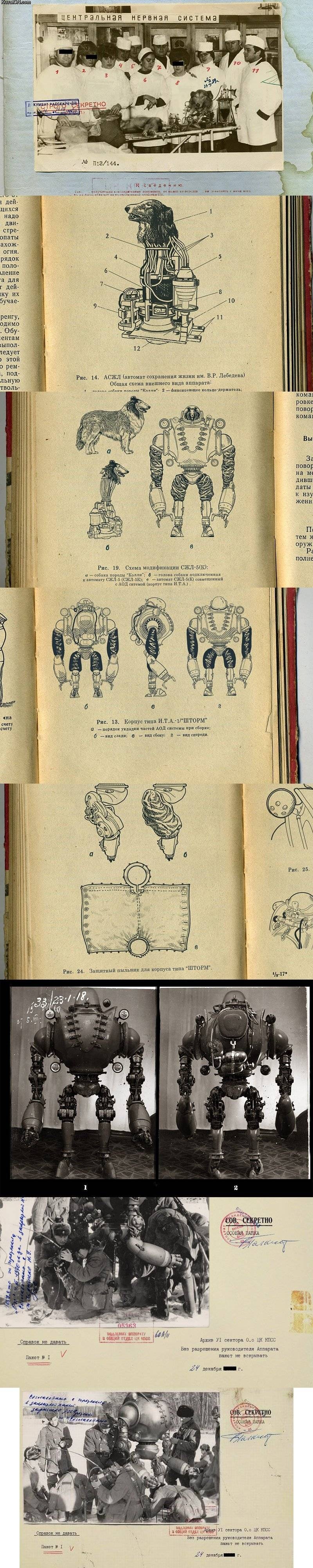 The comrades will return!