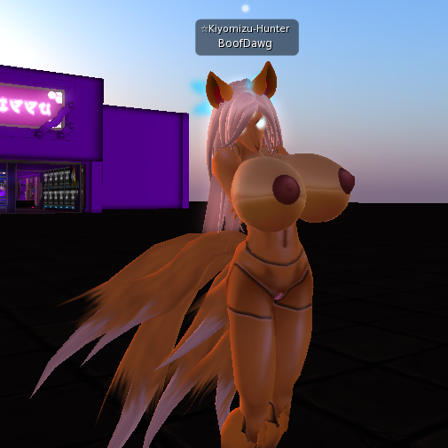 A typical Guy IRL. Notice the huge tits. BoofDawg uses a voice changer and gave out his gender by mentioning Conker's Bad Fur Day, a game that only Guy IRLs are aware of.