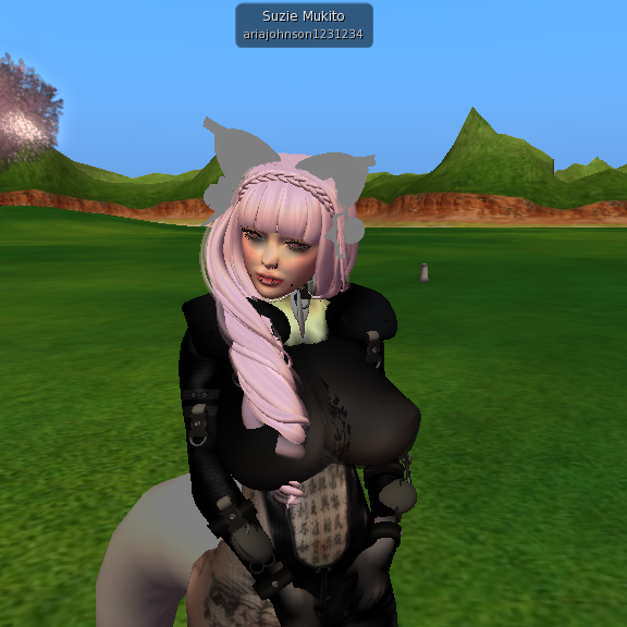 NOT EVEN TRYING!!! Note the numbers in the name, armor resembling a video game, overly large breasts, and the fact that he didn't even spell SUSIE correctly