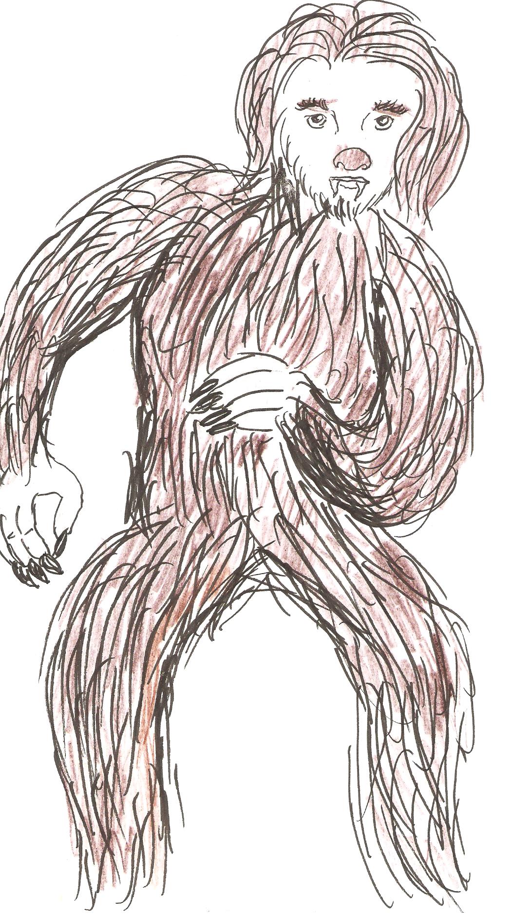 Take care not to confuse the Sasquatch with [[Trolldin|a proper troll