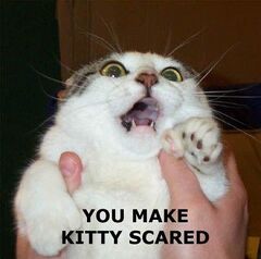 Just because [[Scared kitty