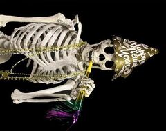 This is the original skeleton.