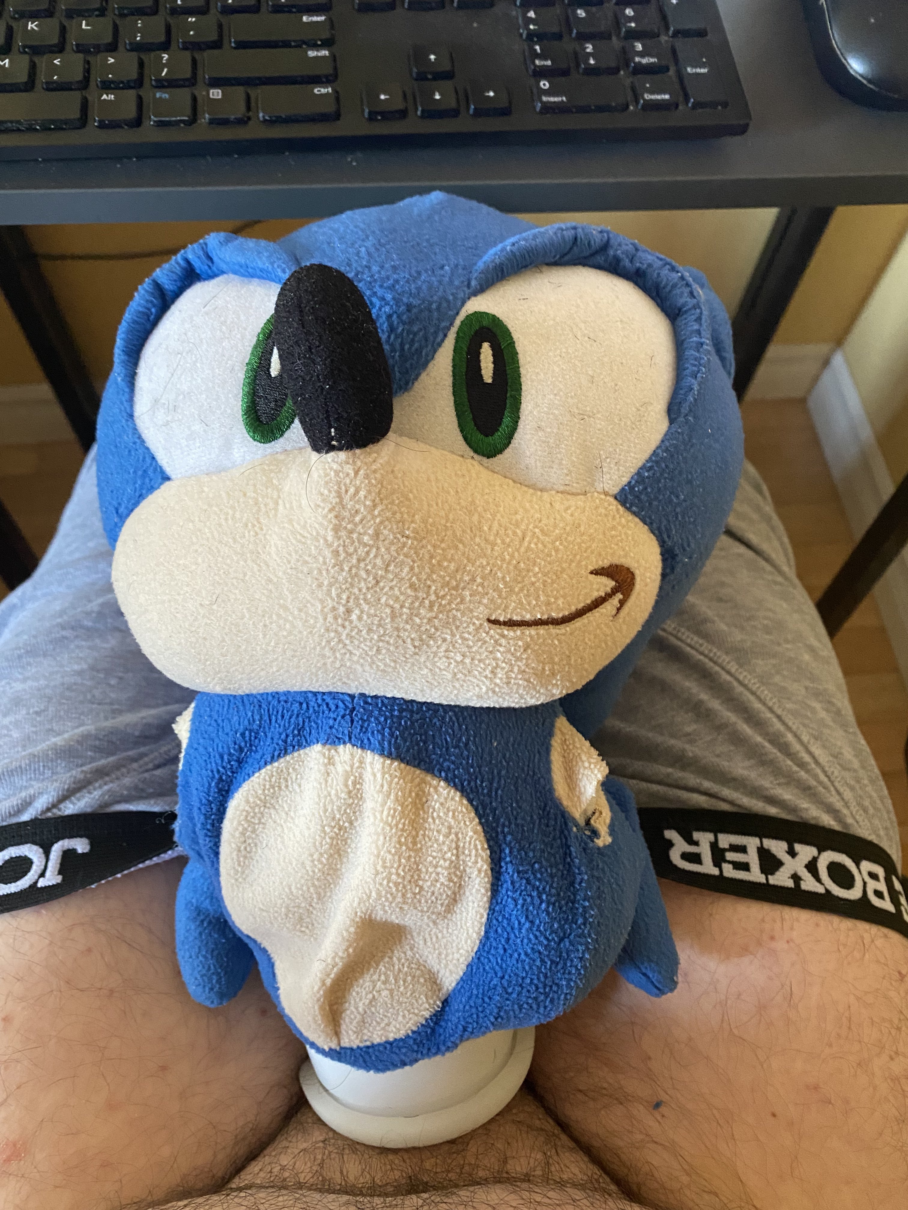 His new Sonic fucktoy, surprisingly not cum stained