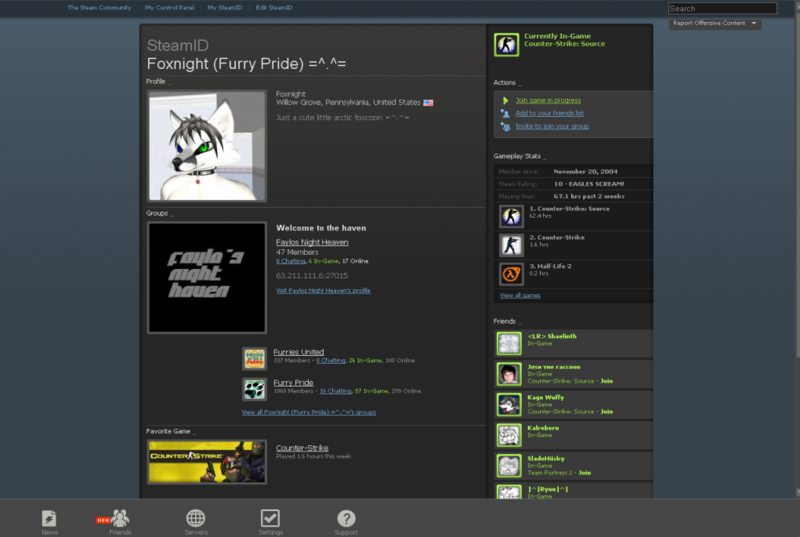 Typical Steam account of a Furry.